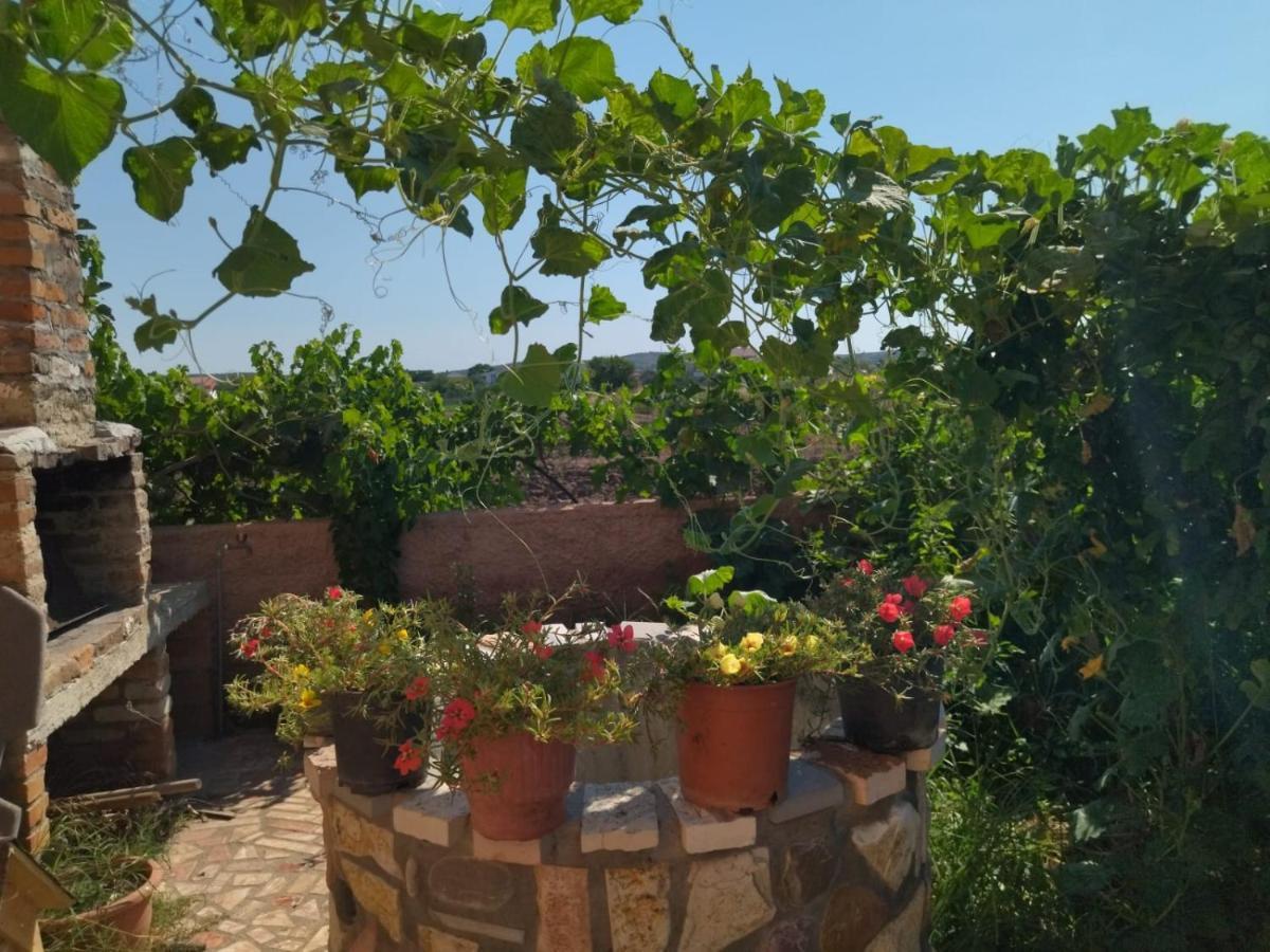 The Garden Guest House Divjake Buitenkant foto