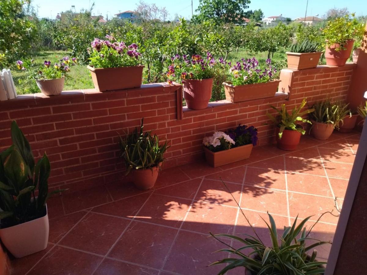 The Garden Guest House Divjake Buitenkant foto