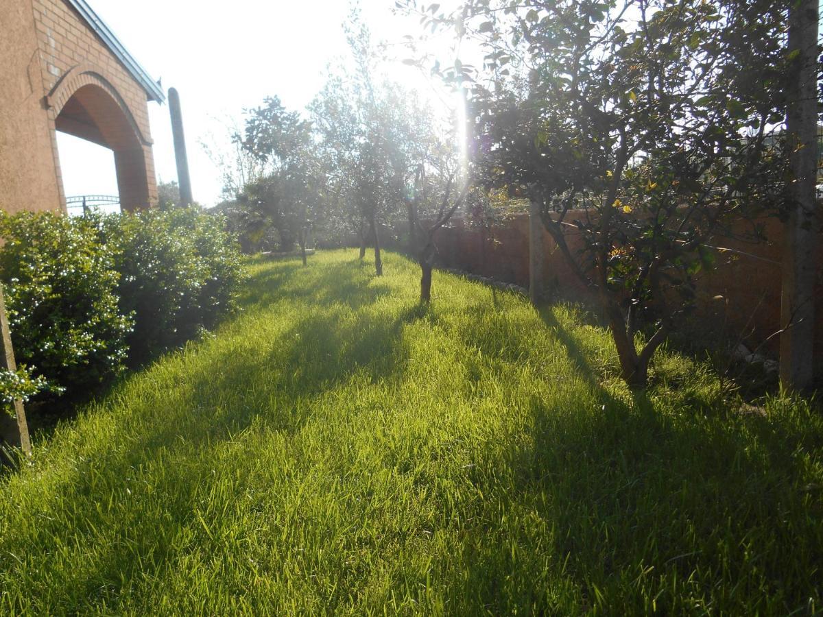 The Garden Guest House Divjake Buitenkant foto