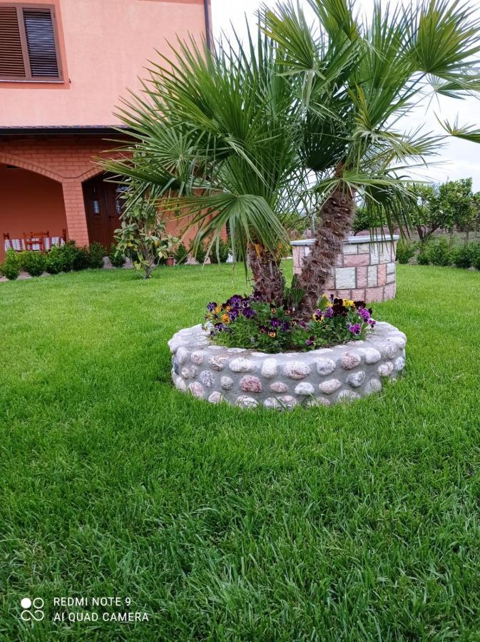 The Garden Guest House Divjake Buitenkant foto